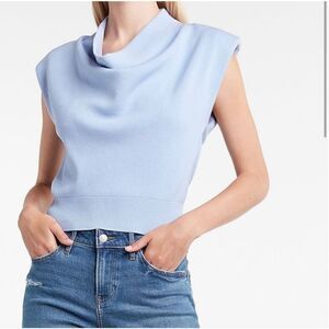 Express Sleeveless Sweater   
